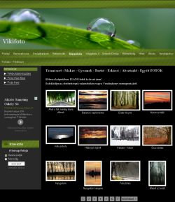 K�rmendi Viktoria fot�m�v�szet