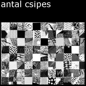Csipes Antal k�pz�m�v�szet