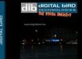 Digital Bird Interaktiv rekl�m