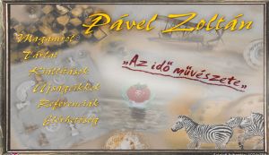 P�vel Zolt�n m�v�szet